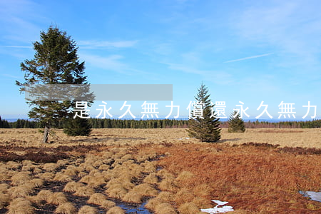 是永久無力償還(永久無力償還債務怎么辦)