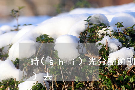 時(shí)光分期逾期后還不進(jìn)去
