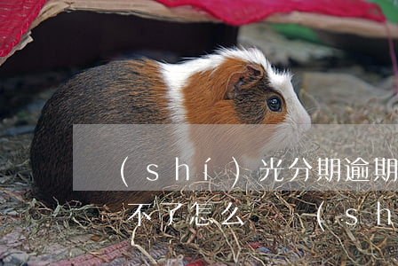 時(shí)光分期逾期幾小時(shí)還不了怎么辦（時(shí)光分期逾期三天怎么辦）
