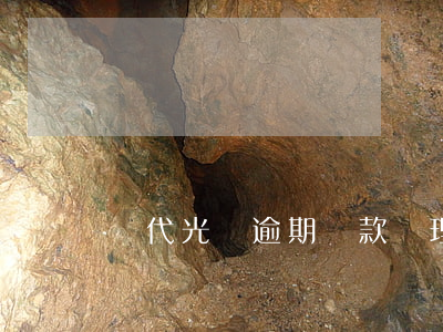 時代光華逾期貸款處理中