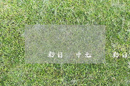時時彩日賺千元(時時彩日賺千元)