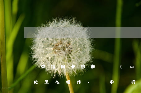 晉中信用卡逾期債務(wù)優(yōu)化怎么操作-晉中銀行信用卡