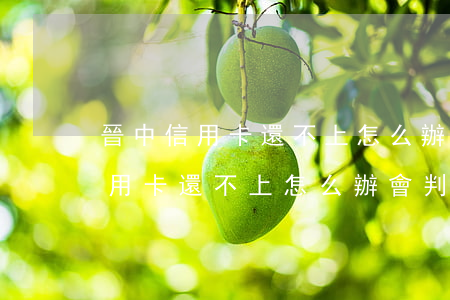 晉中信用卡還不上怎么辦會判刑嗎-晉中信用卡還不上怎么辦會判刑嗎知乎