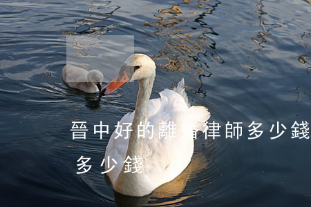 晉中好的離婚律師多少錢(晉中好的離婚律師多少錢)