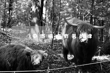 晉中市榆次有名的律師