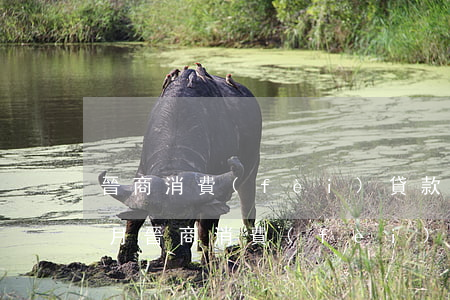 晉商消費(fèi)貸款逾期三個(gè)月(晉商消費(fèi)金融逾期后結(jié)清款還上征信嗎)