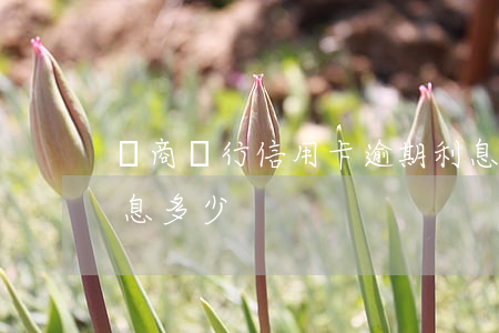 晉商銀行信用卡逾期利息(晉商銀行信用卡利息多少)