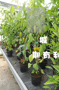 晉城個(gè)性化分期 個(gè)性化分期有利息嗎