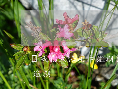 晉城光大信用卡逾期案件(光大信用卡中級卡逾期)