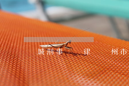 晉城刑事辯護律師(晉州市知名律師)