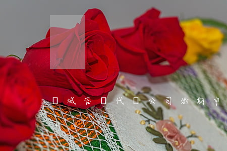晉城咨詢代辦公司逾期申報(bào)流程-