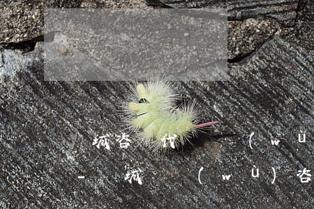 晉城咨詢代辦稅務(wù)逾期申報哪家好-晉城稅務(wù)咨詢電話