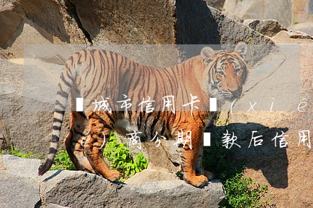 晉城市信用卡協(xié)商分期 協(xié)商分期還款后信用卡還能用嗎