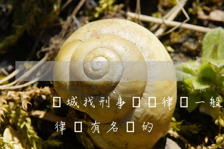 晉城找刑事訴訟律師一般怎么收費(晉城刑事律師有名氣的)