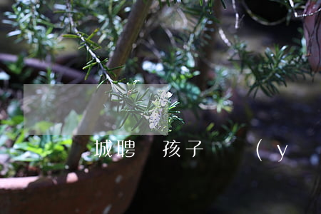晉城聘請孩子撫養(yǎng)糾紛律師