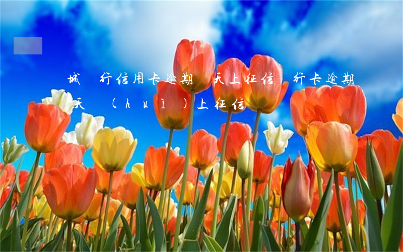 晉城銀行信用卡逾期幾天上征信 銀行卡逾期幾天會(huì)上征信
