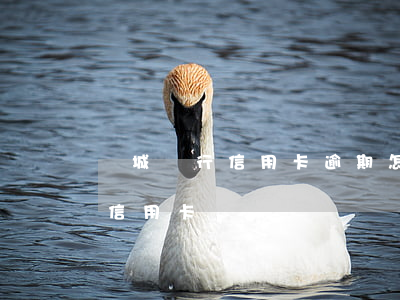 晉城銀行信用卡逾期怎么辦(晉城銀行有沒有信用卡)