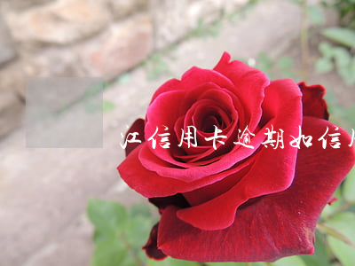 晉江信用卡逾期(如信用卡逾期了怎么辦)