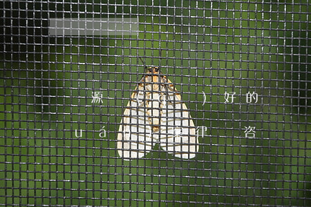晉源區(qū)好的債務(wù)債權(quán)案律師咨詢費(fèi)-晉城債務(wù)律師