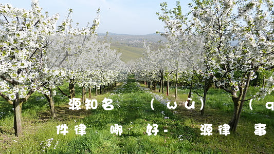 晉源知名債務(wù)債權(quán)案件律師哪個好-晉源律師事務(wù)所