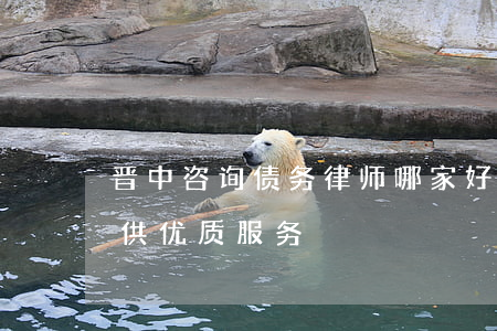 晋中咨询债务律师哪家好？专业团队为您提供优质服务！