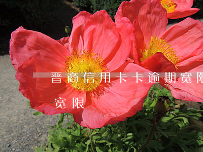 晋商信用卡卡逾期宽限-晋商信用卡卡逾期宽限