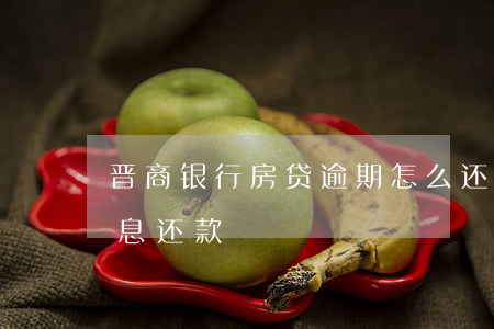 晋商银行房贷逾期怎么还(山西晋商贷最新消息还款)