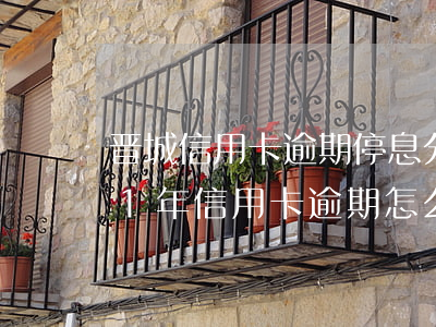 晋城信用卡逾期停息分期怎么协商-2021年信用卡逾期怎么协商分期