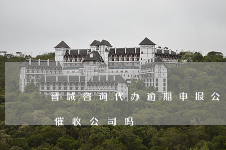 晋城咨询代办逾期申报公司哪家好-晋城有催收公司吗
