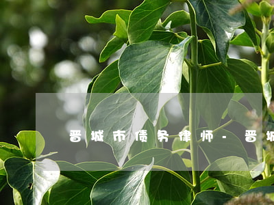 晋城市债务律师-晋城最有名的律师
