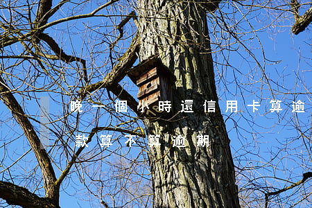 晚一個小時還信用卡算逾期嗎(晚幾個小時還款算不算逾期)