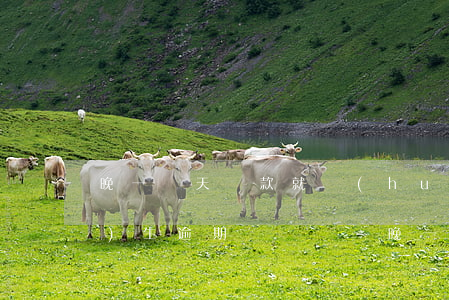 晚一兩天還款就會(huì)產(chǎn)生逾期記錄嗎-晚一兩天還款就會(huì)產(chǎn)生逾期記錄嗎知乎