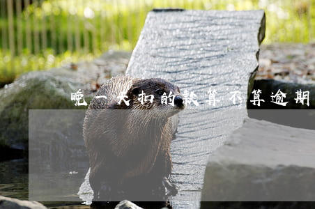 晚一天扣的款算不算逾期 晚一天算逾期嗎