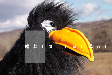 晚上12點(diǎn)后查酒駕嗎