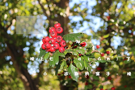 晚上七點(diǎn)了還打電話說(shuō)逾期的案子-晚上七點(diǎn)了還打電話說(shuō)逾期的案子是真的嗎