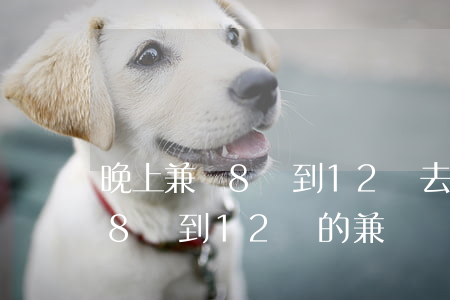 晚上兼職8點到12點去哪里找啊-找晚上8點到12點的兼職