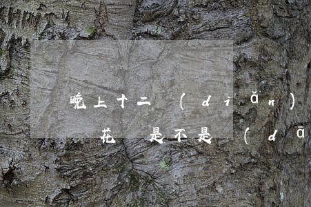 晚上十二點(diǎn)之前還花唄算逾期嗎(花唄是不是當(dāng)天十二點(diǎn)之前還上就好)