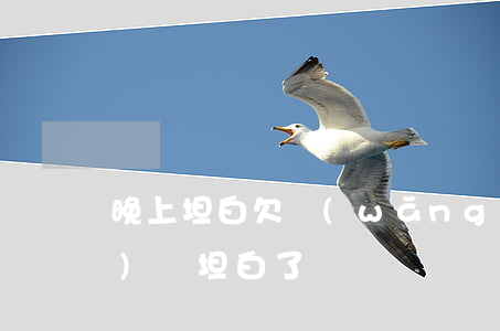 晚上坦白欠網(wǎng)貸(網(wǎng)貸坦白了)