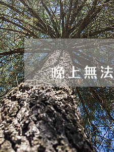 晚上無法歸還貸款逾期(貸款逾期未還后果)