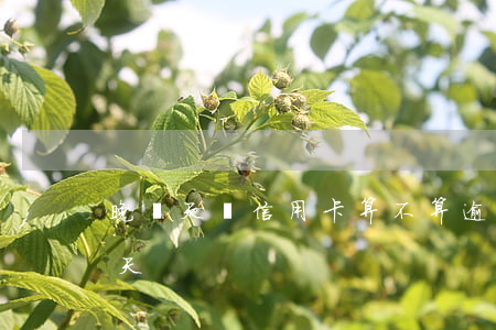 晚兩天還信用卡算不算逾期(還信用卡晚了兩天)