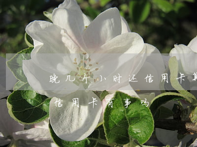 晚几个小时还信用卡算不算逾期(晚了几天还信用卡有事吗)