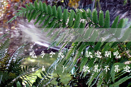 晚多少天為還款逾期(晚幾個(gè)小時(shí)還款算不算逾期)