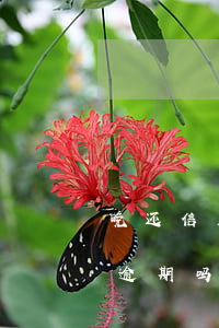 晚还信用卡几天算逾期(还信用卡晚了一天算逾期吗)