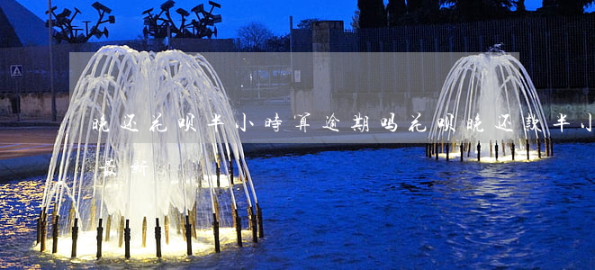 晚还花呗半小时算逾期吗(花呗晚还款半小时最新)