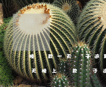 晚還款一天屬于逾期嗎(還款當(dāng)天晚上還款屬于逾期嗎)