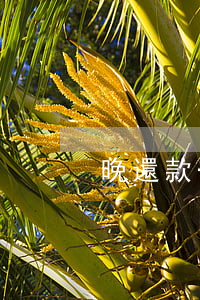 晚還款一天逾期也上征信么