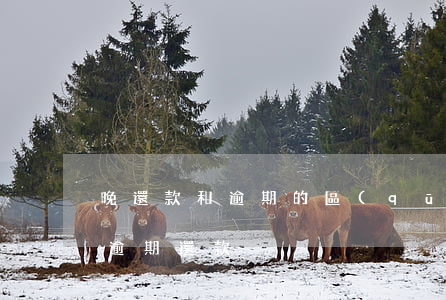 晚還款和逾期的區(qū)別(晚一天還款算逾期還款)