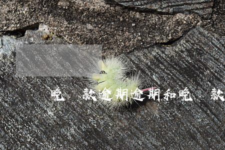 晚還款逾期,逾期和晚還款 晚還款逾期,逾期和晚還款