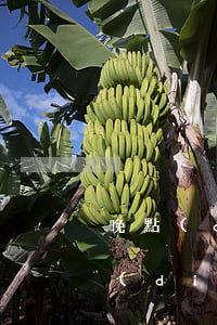 晚點(diǎn)付沒逾期不能用了-晚點(diǎn)付沒逾期不能用了
