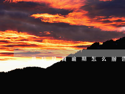 普信投資逾期怎么辦（普信投資逾期）